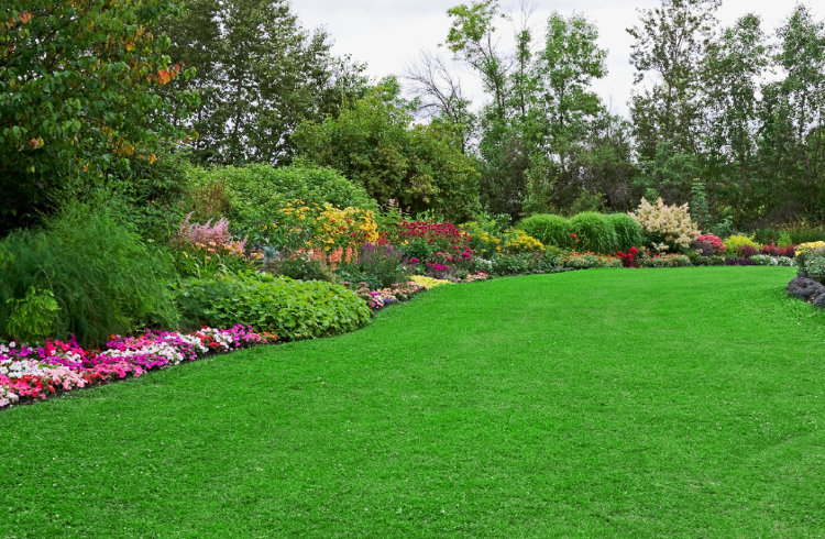 Manutenção de Jardins