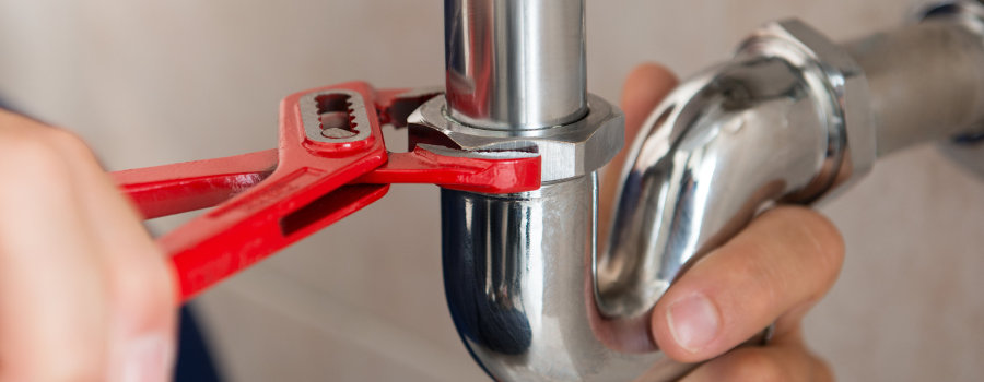 Manutenção de Jardins