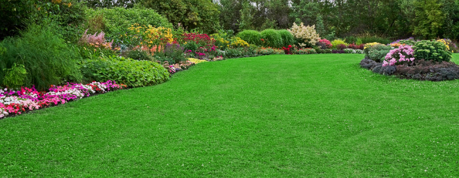 Manutenção de Jardins