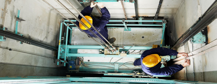 Manutenção de Jardins